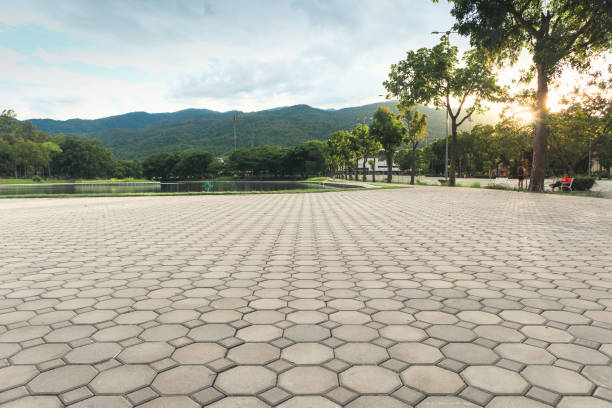 Best Decorative Driveway Pavers  in Felida, WA