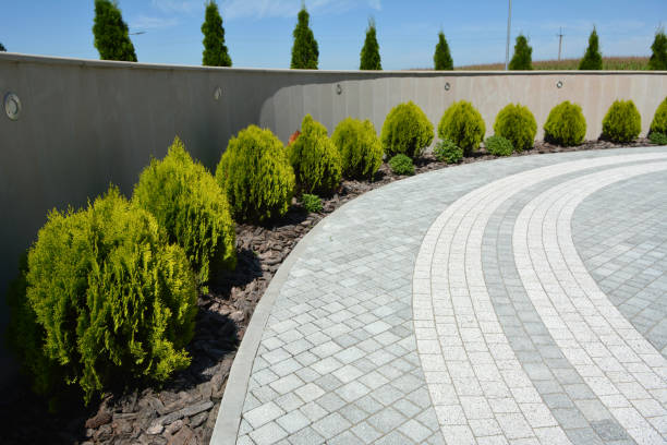 Best Driveway Pavers Near Me  in Felida, WA